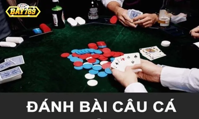 Giải đáp thắc mắc trò chơi Bài câu cá là gì?