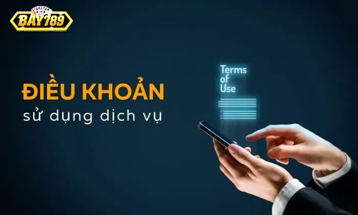 Đánh giá về điều khoản sử dụng của Bay789