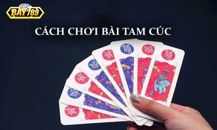 So kè điểm trong bài Tam Cúc